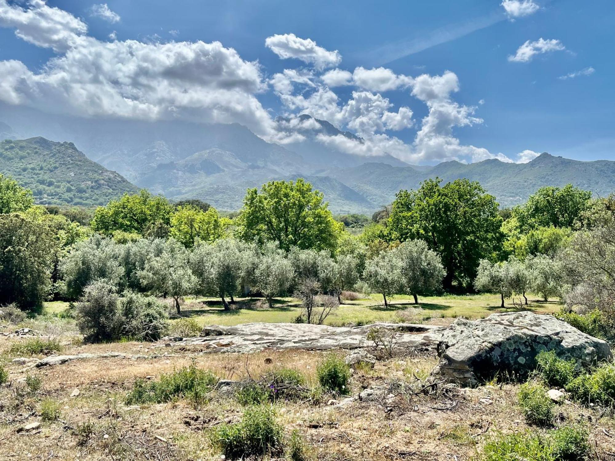 Domaine Du Reginu Hotel Santa-Reparata-di-Balagna Kültér fotó