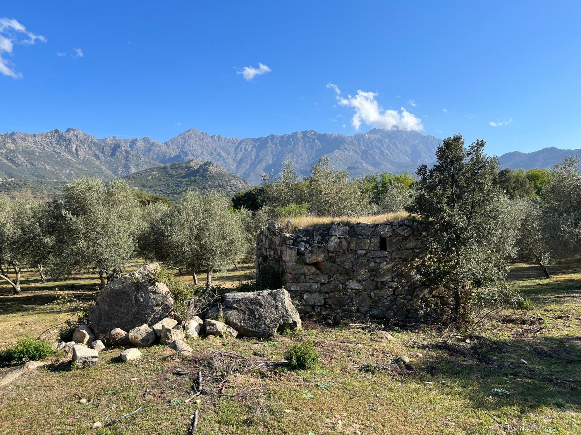 Domaine Du Reginu Hotel Santa-Reparata-di-Balagna Kültér fotó